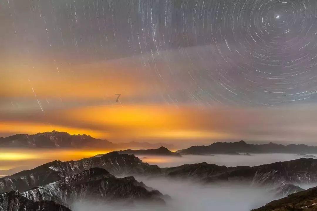 孤独的流浪者救援